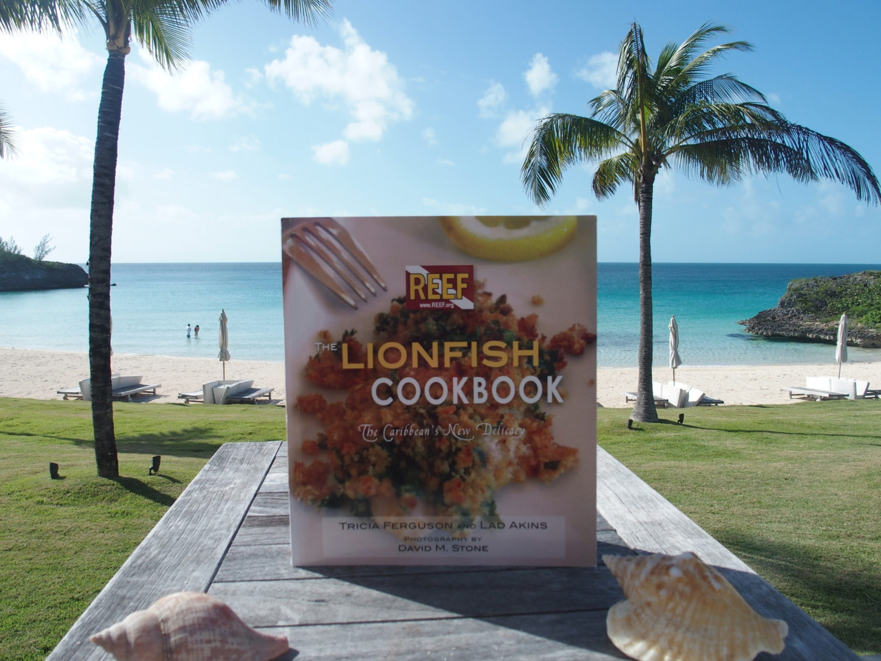 A Career That Cooks in Eleuthera : Travel Dreams Magazine