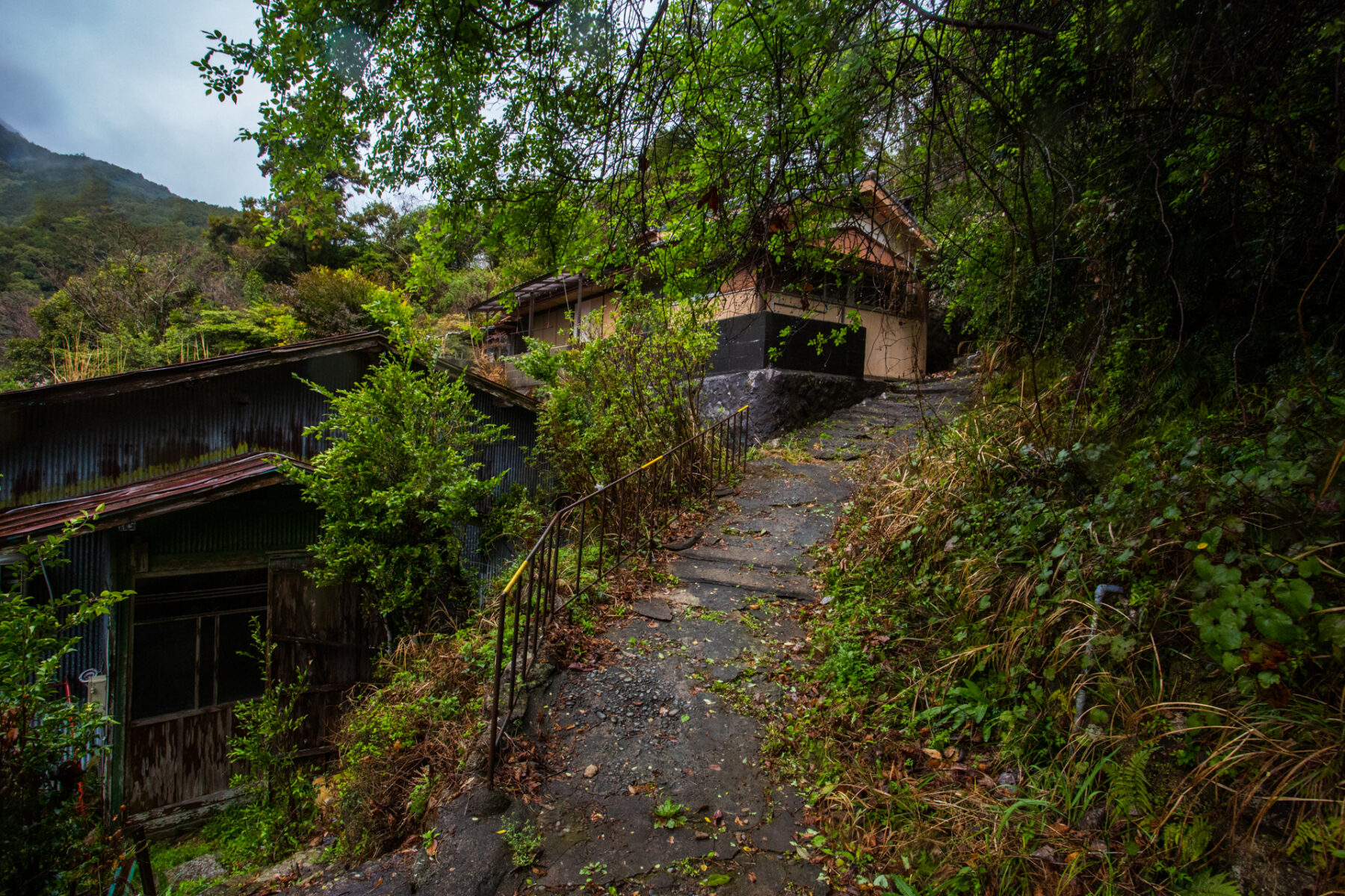 kumano kodo travel agency