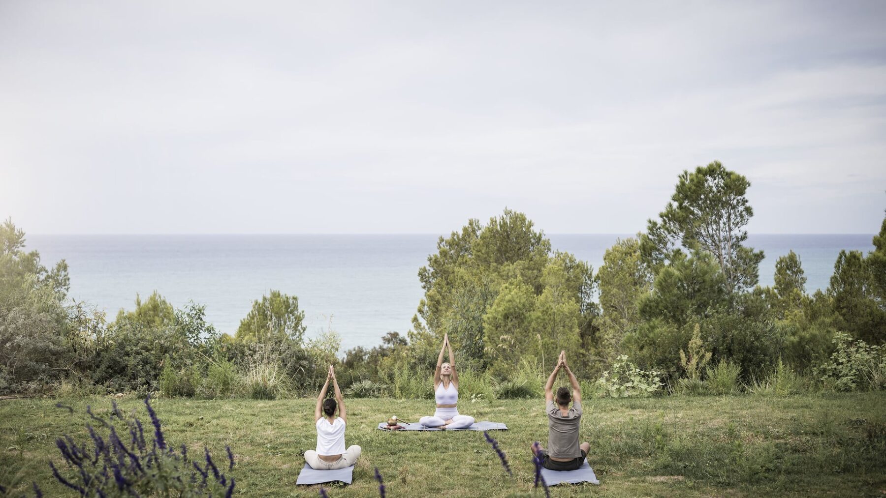 The heart of yoga in Napa Valley